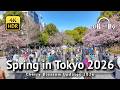 🌸 Early Cherry Blossoms in Central Tokyo \u0026 Tokyo Marathon 2026 [4K/HDR/Binaural]