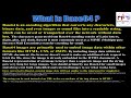 What is Base64 Encoding and How does it work?