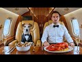 I Tested the First-Ever Airline Made for Dogs
