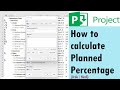How to calculate Planned Percentage in MS Project (Urdu/Hindi)