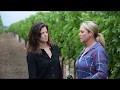 What Is Veraison? Explained By Napa Winemaker