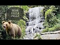 Bear shola falls | Kodaikanal | tourist attraction | Kodai | prince of hills | adventure | trekking