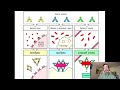 Structural Immunology (2 of 6): Antibodies: Proteins that Protect