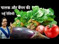 पालक बैंगन की ऐसी स्वादिष्ट नई सब्जी जिसे सब उंगलियाॅं चाट-चाटकर खाएंगे | Palak baingan ki sabji 