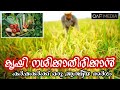 കൃഷി നശിക്കാതിരിക്കാൻ ആത്മീയമായ പരിഹാരം | FOR FARMERS | QAF MEDIA