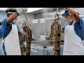Inside a Real Snake-Leather Factory | Luxury Jacket Making Process