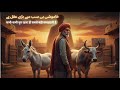 دانشمند زمیندار کا راز | عقلمند گدھا اور بیل کی کہانی | ایک سبق آموز حکایت | Urdu Hindi Moral Story