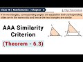Triangles - Theorem 6.3 🌟 AAA Similarity Criterion🌟 Class 10 Maths Chapter 6 🌟 CBSE, NCERT 🎯