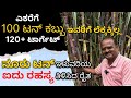 ಇವರು ಎಕರೆಗೆ 100+ ಟನ್ ಕಬ್ಬು ಬೆಳಿತಾರೆ, ನೀವ್ ಎಷ್ಟು ಬೆಳಿತಿರಾ? SUGARCANE 100Tonnes Per Acre @mrerehula