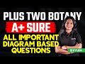Plus Two Botany - A+ Sure - All Important Diagram based Questions | Xylem Plus Two