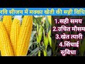 रवि सीजन में मक्का की खेती कैसे करें। ravi me makka ki kheti। @pmfarming1349