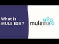 What is MULE ESB ? | MULE SOFT | ESB | MULE