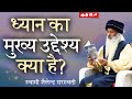 ध्यान का मुख्य उद्देश्य क्या है? स्वामी शैलेन्द्र सरस्वती