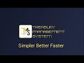 Treasury Management System (TMS)