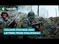 Nazis Frozen Alive: Brutal Uncensored Accounts From Stalingrad
