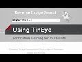 Reverse Image Search With TinEye