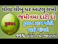 લીલા લીંબુ નો ખાસ ઉપાય | vastu shastra | vastu | astrology