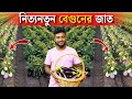 বাছাই করা সব বেগুনের জাত। নতুন নতুন সমস্ত বেগুন চাষ করে অধিক লাভ করুন ।(গোল,লম্বা,বেলুন আকৃতির)