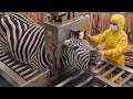 Inside a Zebra Leather Factory: How Luxury Zebra Jackets Are Made (Full Process)