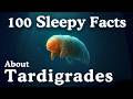 100 Tardigrade Facts to Fall Asleep To — Dreamy Science