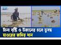 কিশোরগঞ্জে টানা বৃষ্টি ও উজানের ঢলে তলিয়েছে হাওরের ধানের ক্ষেত | Kishoreganj | Haor  | Ekushey TV
