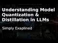 Understanding Model Quantization and Distillation in LLMs