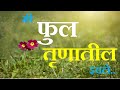 मी फूल तृणातील इवले मराठी कविता - मंगेश पाडगावकर by Digi Directions