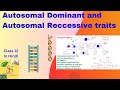 Autosomal disorders ||Autosomal dominant and Autosomal Recessive traits ||class 12 || In Hindi