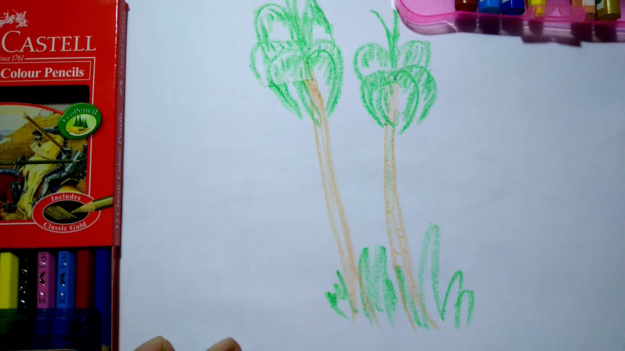 5500 Gambar Kolase Pohon Kelapa HD