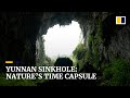 Chinese researchers find species lost for over a century in Yunnan sinkhole
