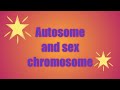 Autosome and sex chromosome by Priti Sharma life science