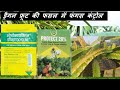 How to treat dragon fruit fungal disease||ड्रैगन फ्रूट में फंगस रोग की रोकथाम @maurya beej bhandar