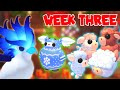 Christmas Week 3 Update! Frost Phoenix, Angus Box, Cozy Mistletroll | Roblox Adopt Me 2025 | Riivv3r