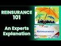 Reinsurance 101