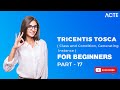 TRICENTIS TOSCA  |  Class and Condition Generating Instance Test Automation Tool |  Part - 17