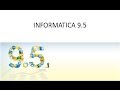 Informatica Architecture 9.x
