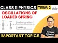 Oscillations of a Loaded Spring, Combination of Springs SHM Class 11 Physics Term 2 Important Topics