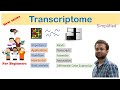 What is transcriptome? Introduction part 1: Learn from scratch (for beginners).