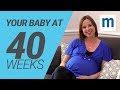 Your baby at 40 weeks | Pregnancy week by week