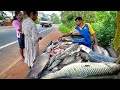 SECRET MARKET! Discovering Sri Lanka’s Hidden Street Villager's Largest Rural Fish Paradise!