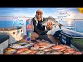 Unlimited Catches in One Trip | Black Bream Hunting | Bottom Fishing 🐟🌊