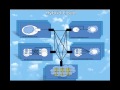 Cloud Computing Series (Session 2)_ Deployment models and Service models in Cloud Computing