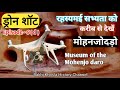 ड्रोन शॉट | करीब से देखे मोहनजोदड़ो हड़प्पा सभ्यता ।Museum of the Mohenjo daro | Rakhi Khosla