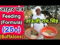 ताऊजी राम सिंह पांडवाण : 25+ दूध वाली भैंसों को क्या खिलाएं || Feeding Formula : Tau Ji Ram Singh 👍