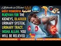 RUQYAH FOR THE KIDNEYS, URINARY SYSTEM, URINARY TRACT \u0026 BLADDER. INSHA ALLAH, YOU WILL BE RELIEVED 🎧