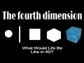 The Fourth Dimension: What Would Life Be Like in 4D? An Epistemic Journey