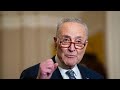 LIVE: Sen. Schumer and Senate Democrats Holds Press Conference on Priorities for the 119th Congress
