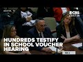 Debate over school vouchers draws hundreds to Texas Capitol for public testimony
