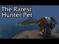 World of Warcraft's Rarest Hunter Pet