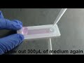 CellHD-256: FullVersion